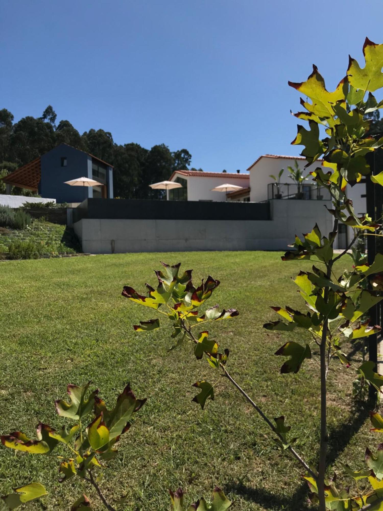 Casa Da Milheira - Agroturismo Oliveira de Azemeis Exterior photo