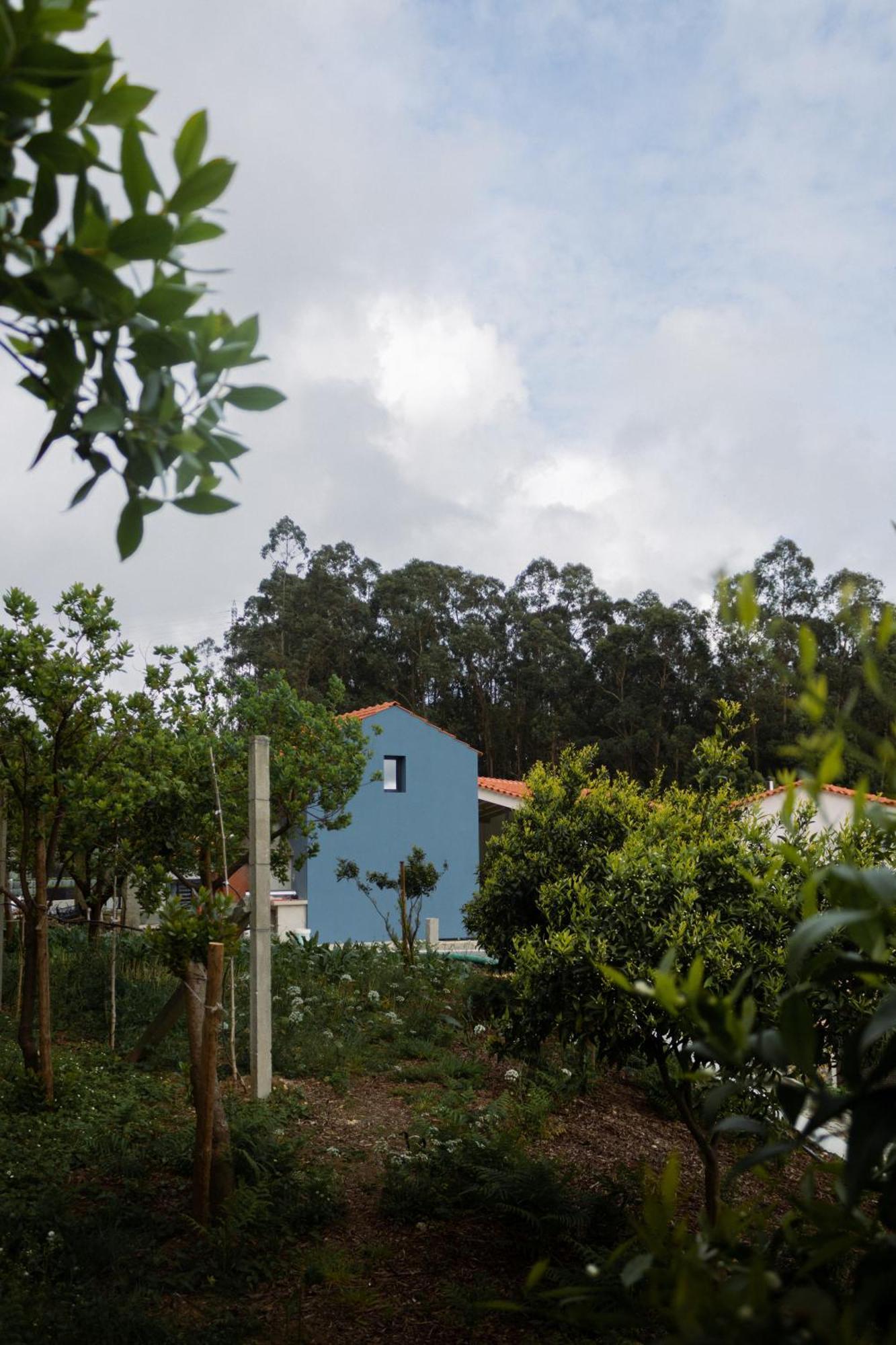 Casa Da Milheira - Agroturismo Oliveira de Azemeis Exterior photo